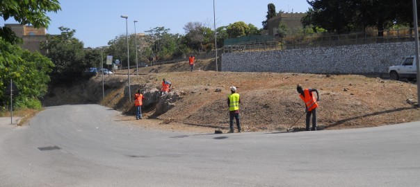 Chiarimenti sull’attività lavorativa iniziata stamattina dagli extracomunitari