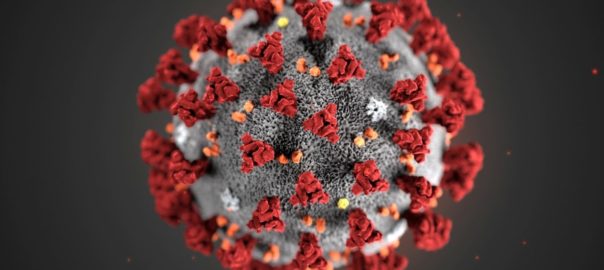 Coronavirus la situazione a Trapani e provincia. Aggiornamento di mercoledì 10 novembre 2021