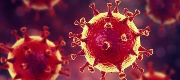 Coronavirus la situazione a Trapani e provincia. Aggiornamento di giovedì 11 novembre 2021