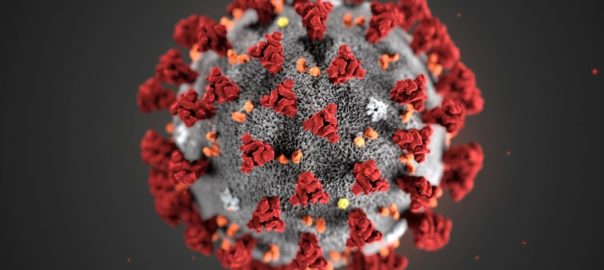 Coronavirus la situazione a Trapani e provincia. Aggiornamento di venerdì 24 dicembre 2021