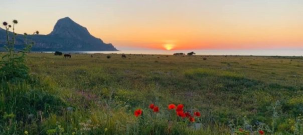 San Vito Lo Capo, unioni e matrimoni civili in spiaggia