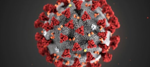 Coronavirus la situazione a Trapani e provincia. Aggiornamento di venerdì 3 febbraio 2023