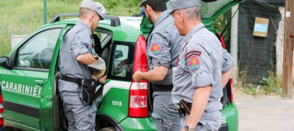 Controlli dei Carabinieri forestali. Sanzionata una ditta