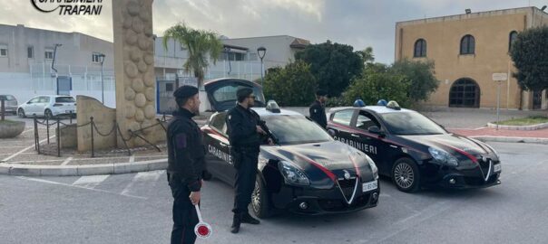 I Carabinieri arrestano ladro seriale