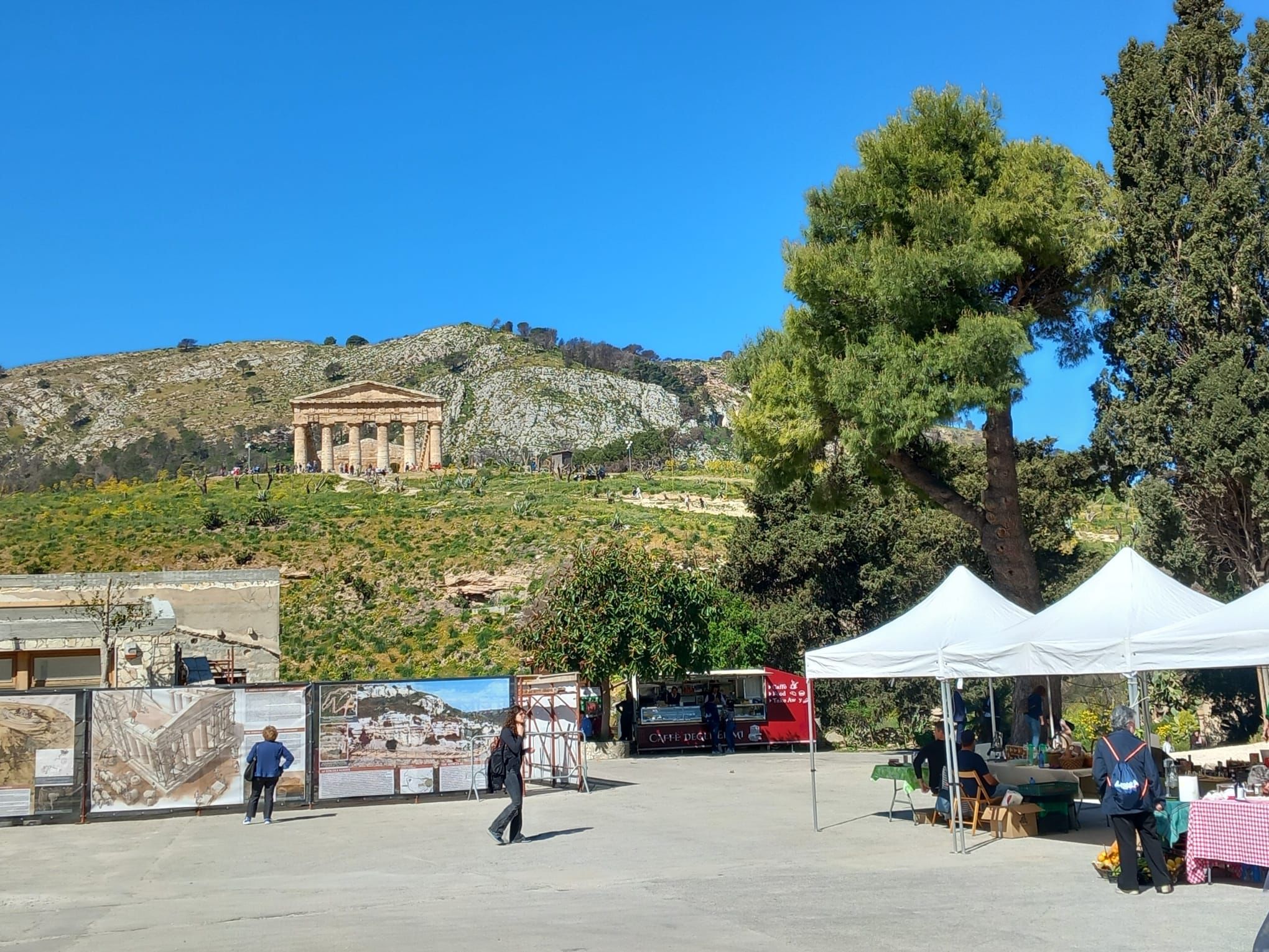 Domenica, ingresso gratuito.Visite guidate al parco archeologico di Segesta. Ritorna il Mercato di prodotti a km0. Nasce la Card365 per le famiglie