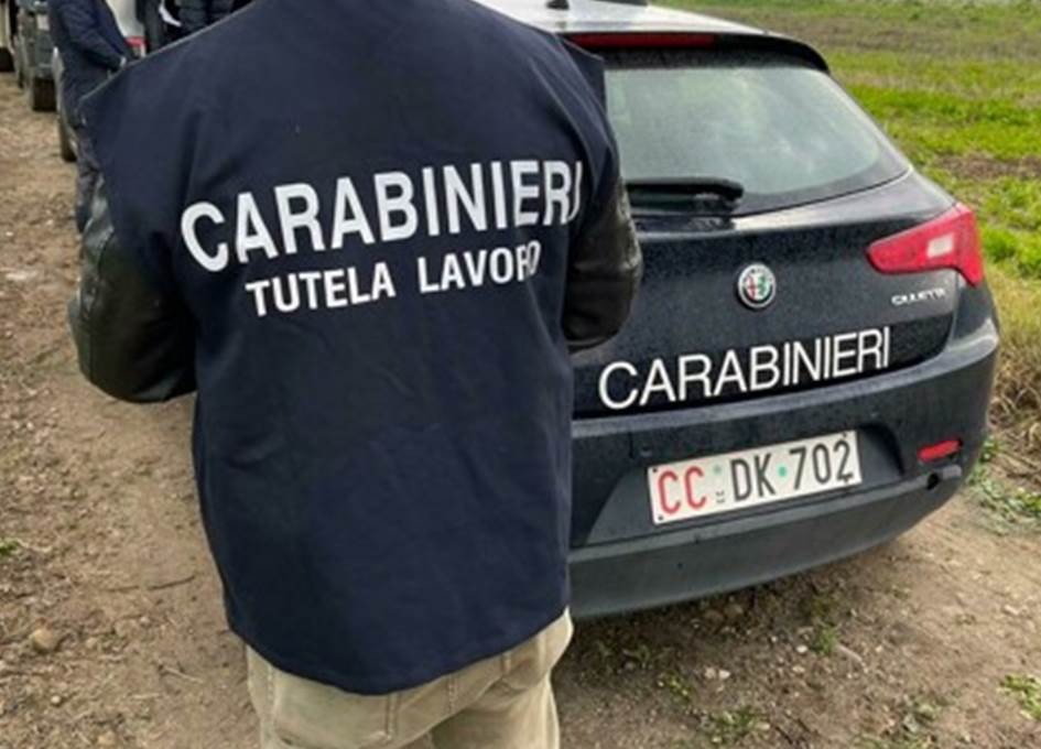 Controlli dei Carabinieri nel settore olivicolo nella provincia di Trapani