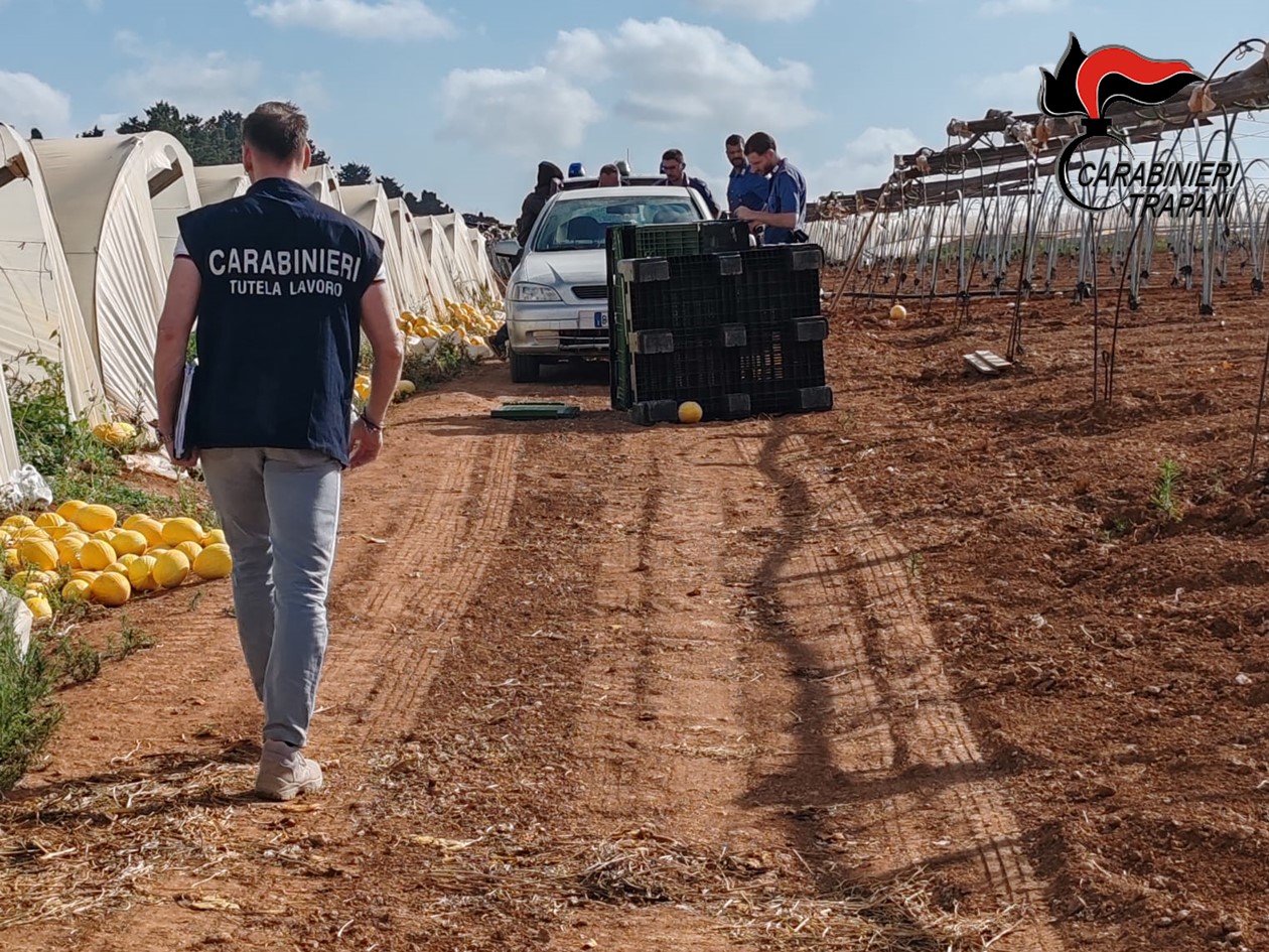 Intensificazione dei controlli nel settore agricolo e della ristorazione in provincia di Trapani